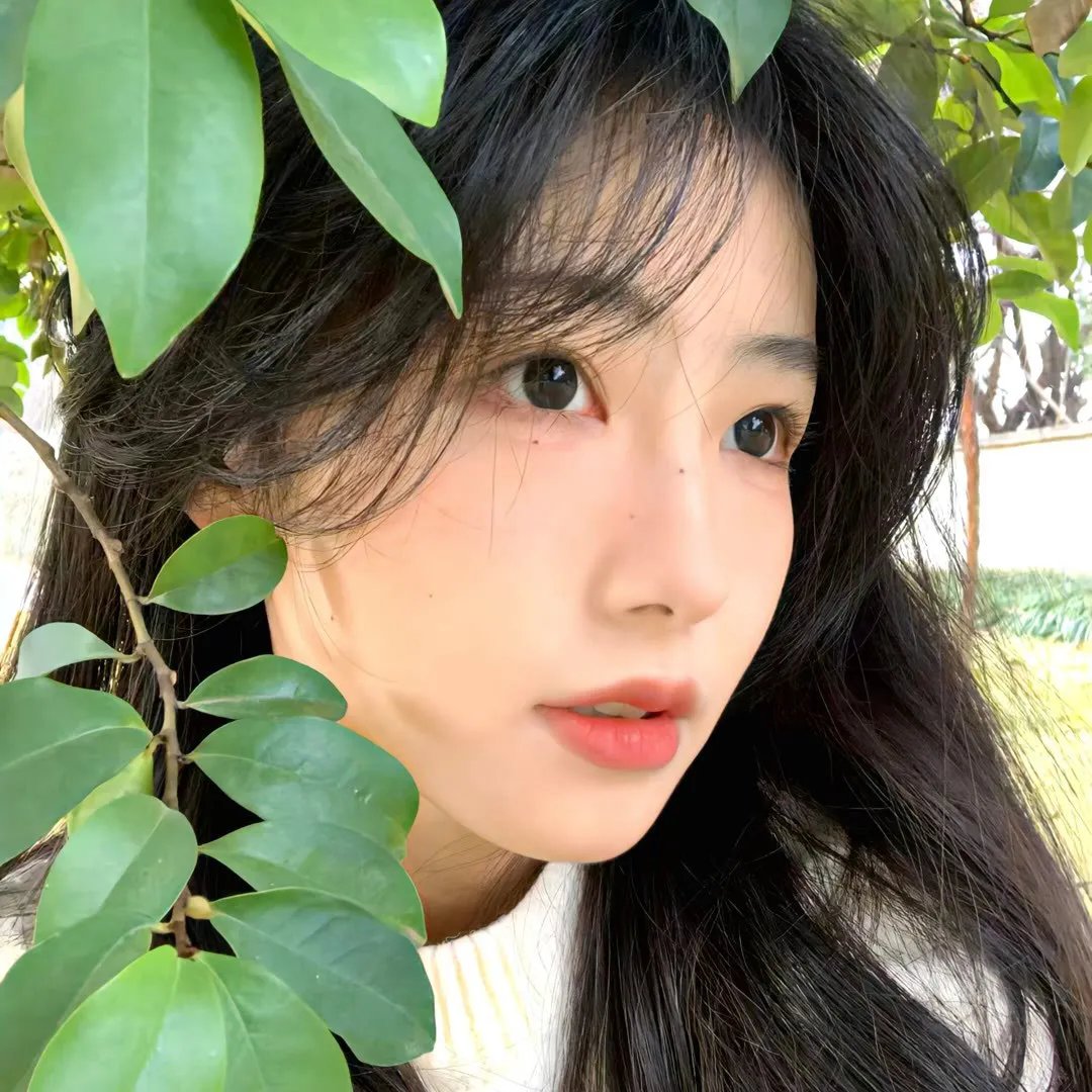 夏日小行星